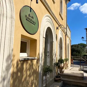 Punti Di Vista Bibbona