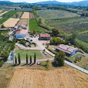 Ferri Bibbona